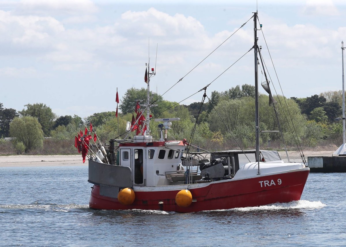 Ostsee Fisch Restaurant Regional.jpg