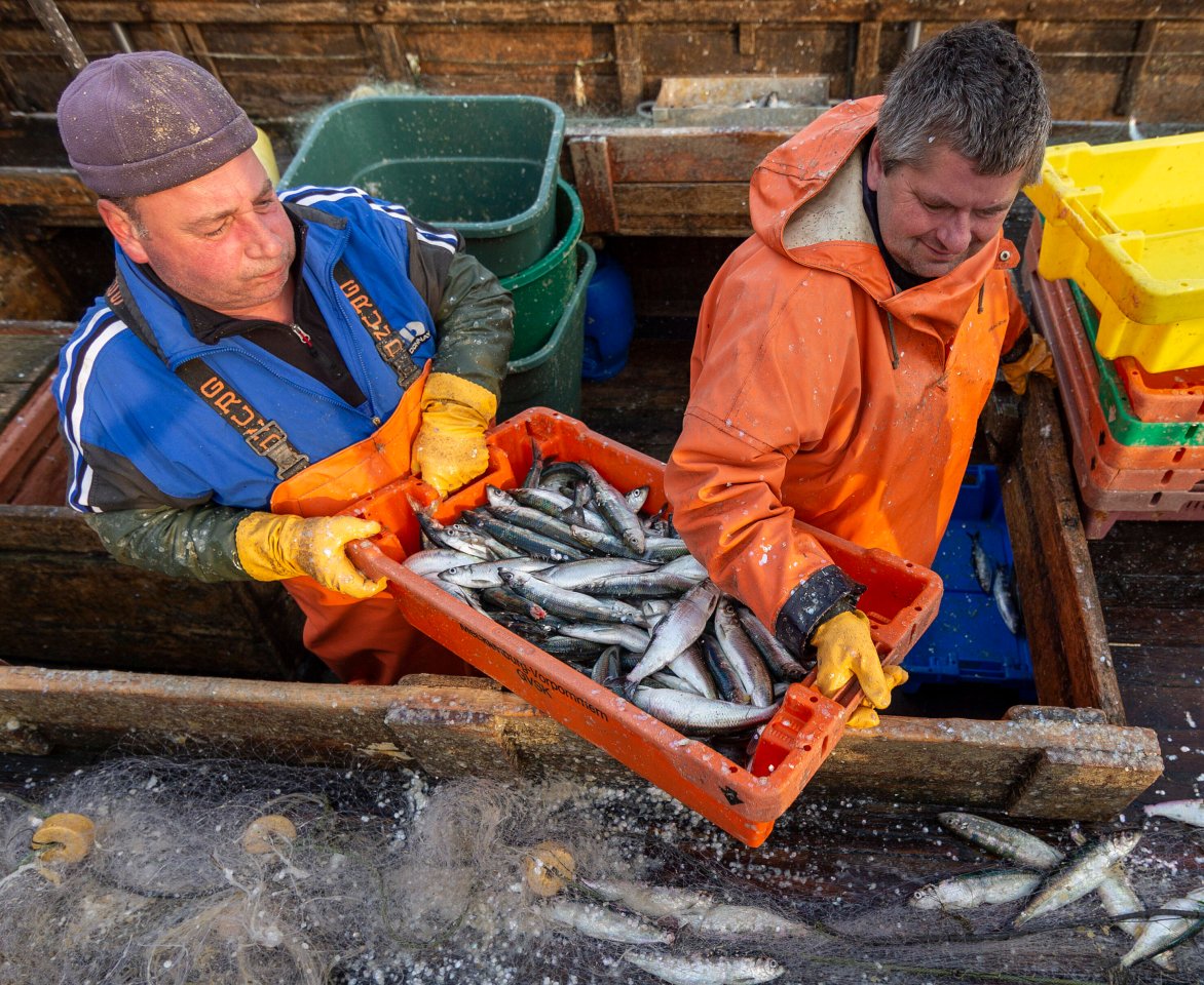 Ostsee Fischer Mecklenburg-Vorpommern Hering Dorsch Fisch Wismar Rügen