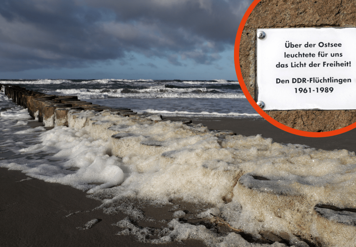 Ostsee Nasse Grenze Flucht DDR Universität Greifswald Fehmarn Rügen Dänemark Usedom Darß