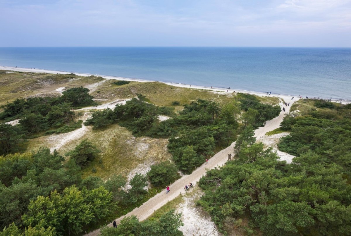 Ostsee Prerow Masken.jpg