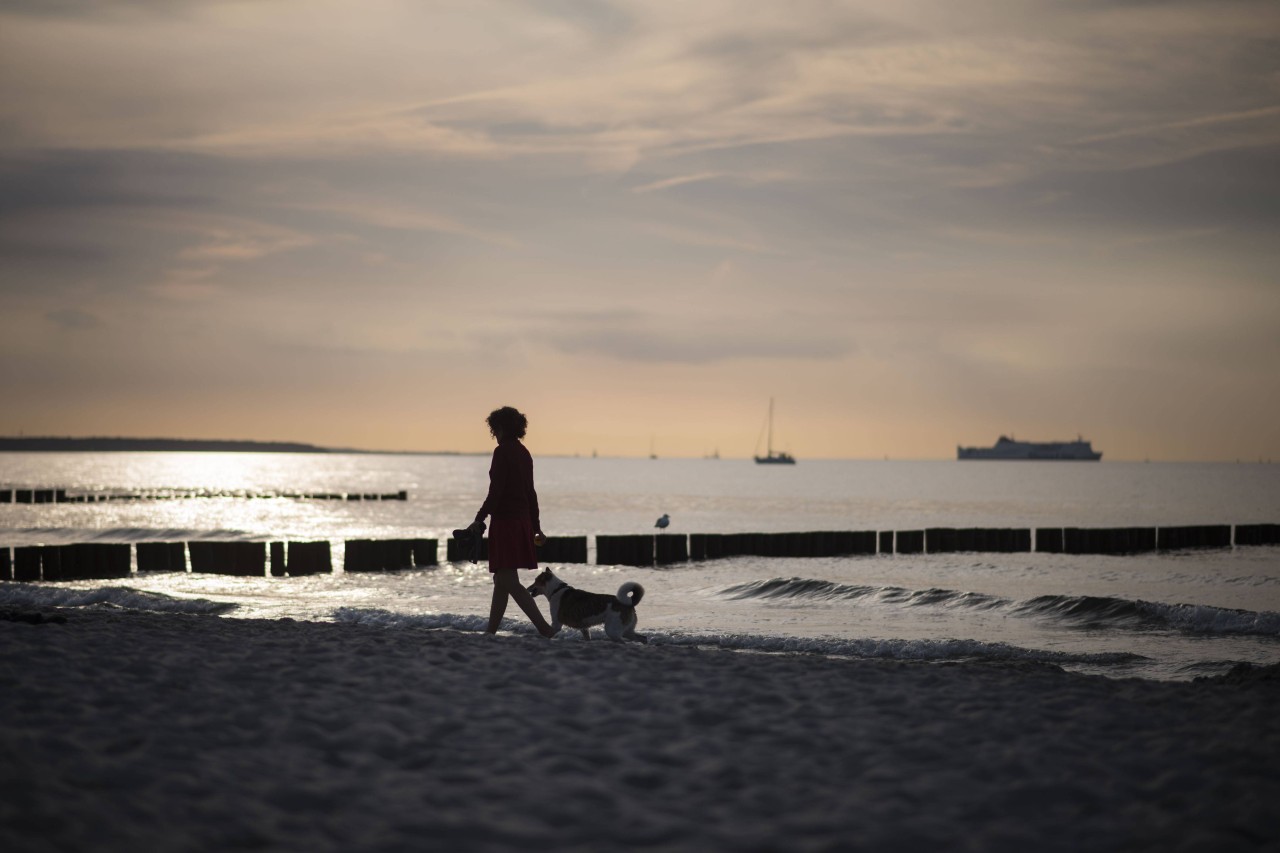 Der Ostsee-Strand in Warnemünde.