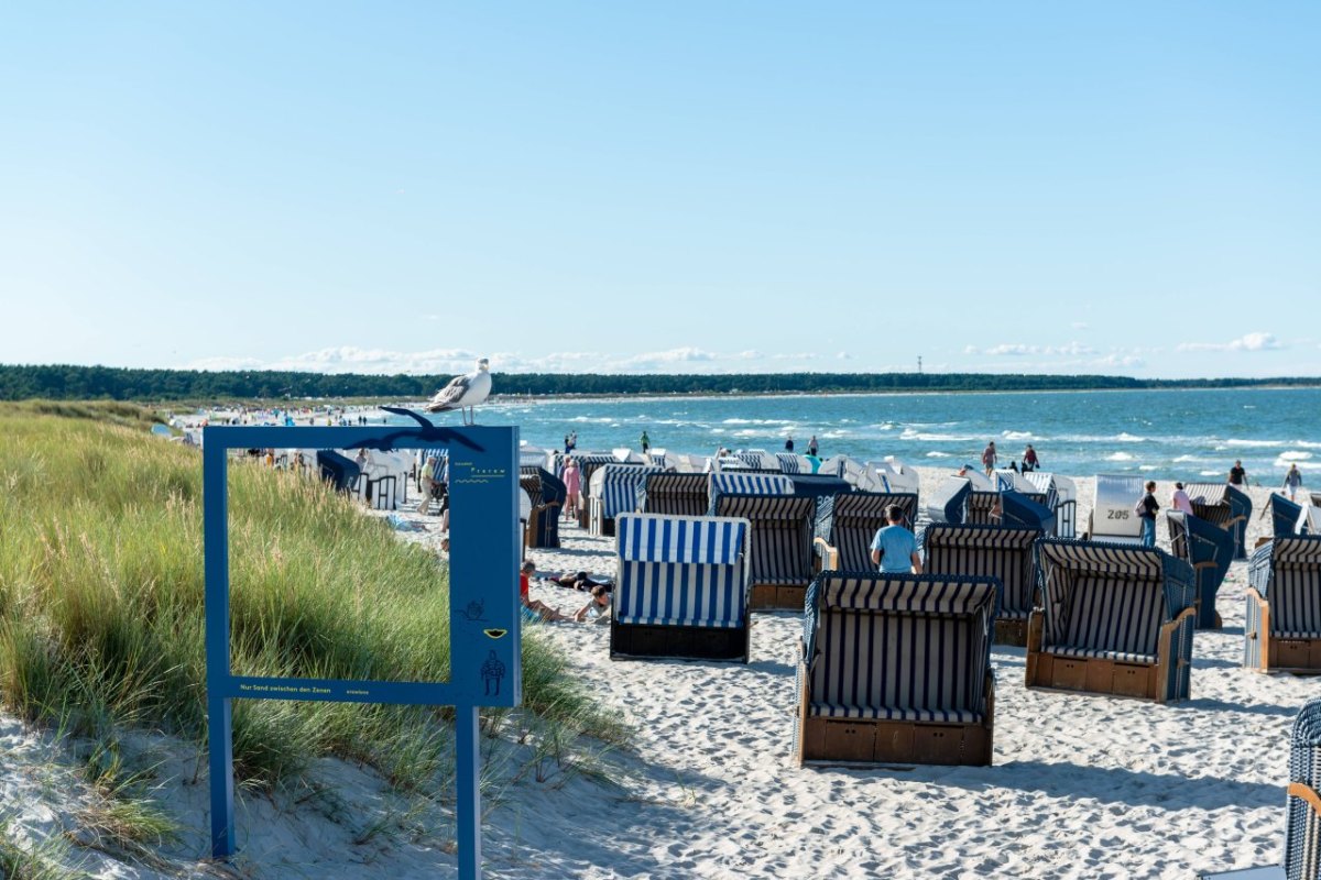 Ostsee Stralsund Devin Deviner Strand Anwohner Urlauber Rügen Bauschutt Mecklenburg Vorpommern