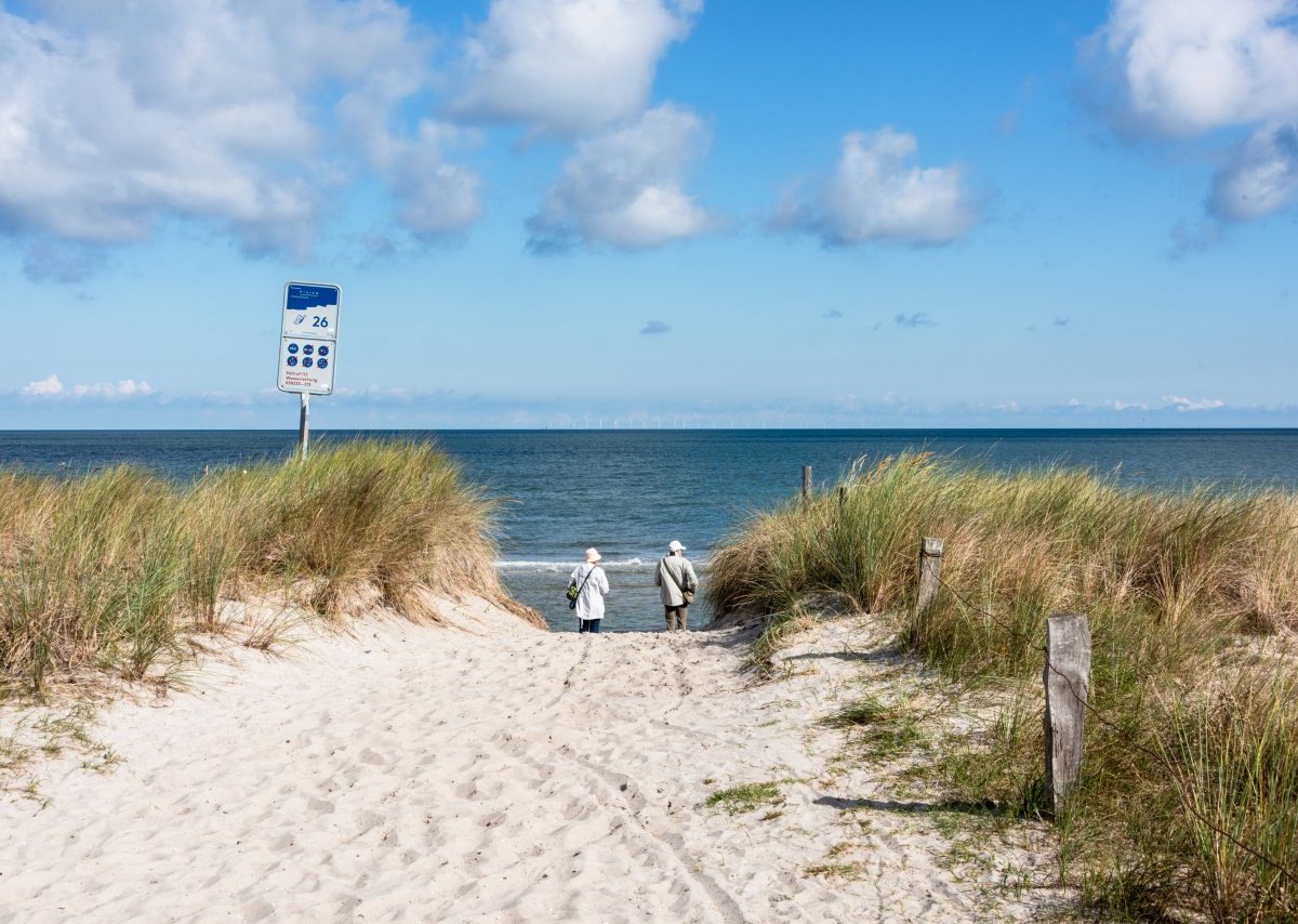 Ostsee Tiere Urlaub Sandwolfspinne Bliesdorf Schashagen Facebook Spinne Insekt