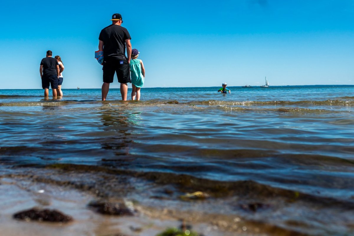 Ostsee Urlaub Usedom Feuerqualle Strömung Nordsee