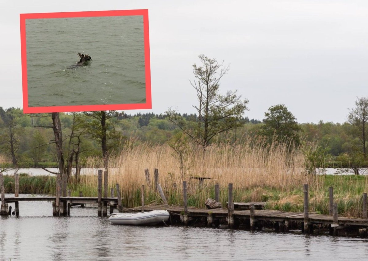 Ostsee Wasserpolizei.jpg