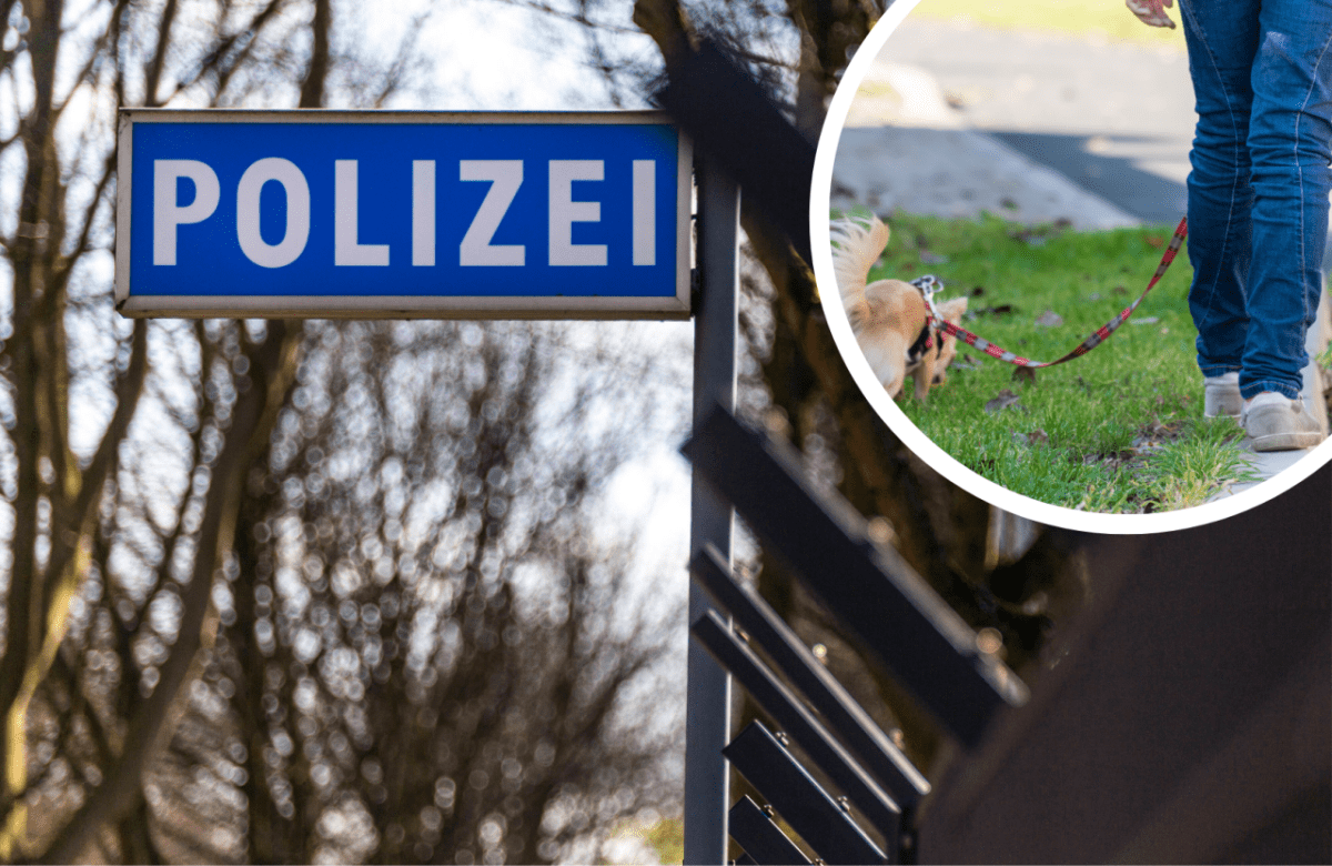 Polizei Hund.png