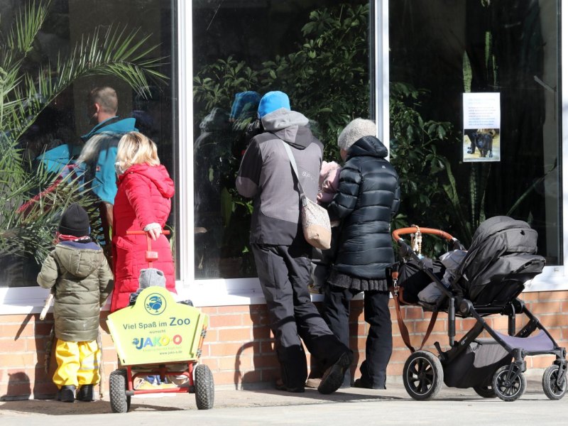 Rostock Zoo