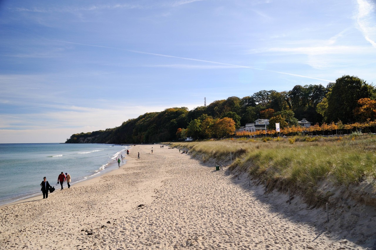 Rügen ist für die einzigartige Natur bekannt.