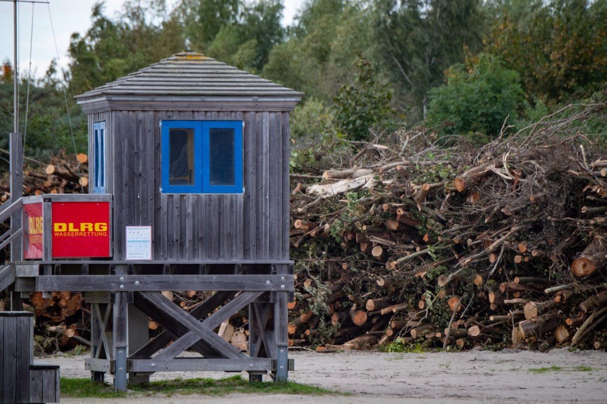 Rügen Altefähr Park Ostsee Stralsund Bäume fällen Kurpark