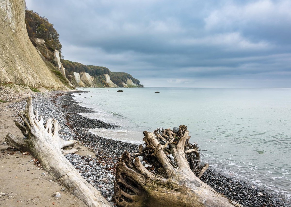 Rügen Kreidefelsen.jpg