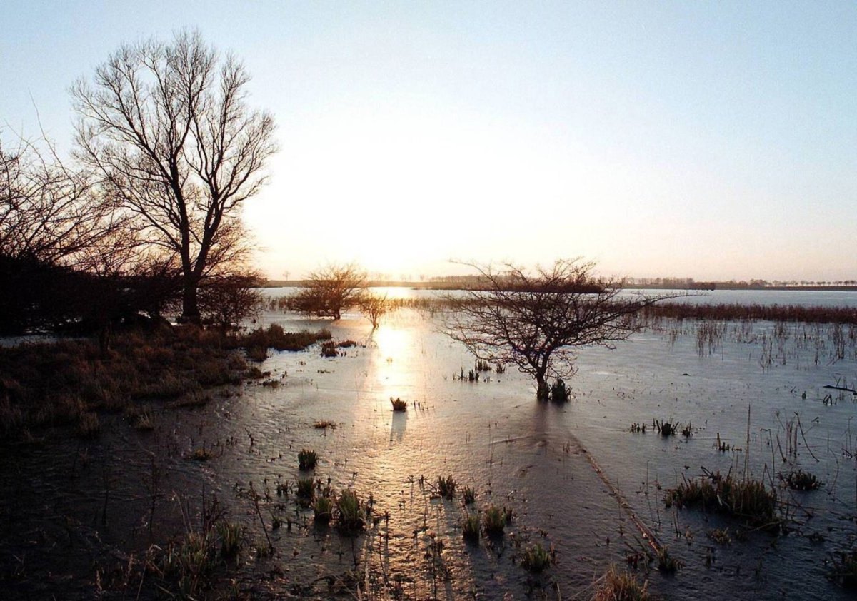 Rügen Nonnensee.jpg