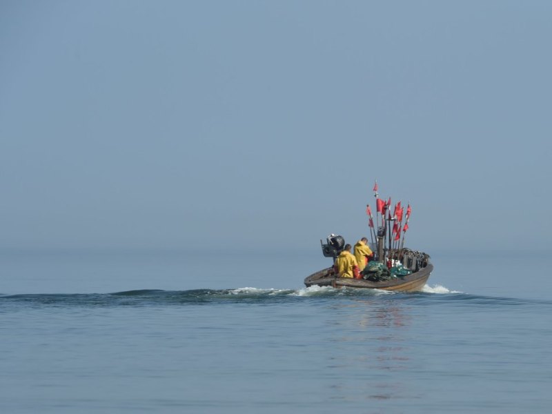 Rügen Ostsee NDR Fang Fisch Fischen Fischer Kapitän Hering Dorsch Schiffe