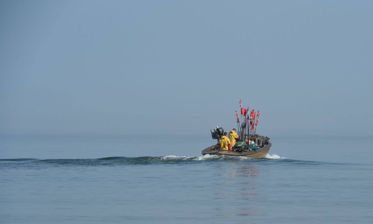 Rügen Ostsee NDR Fang Fisch Fischen Fischer Kapitän Hering Dorsch Schiffe