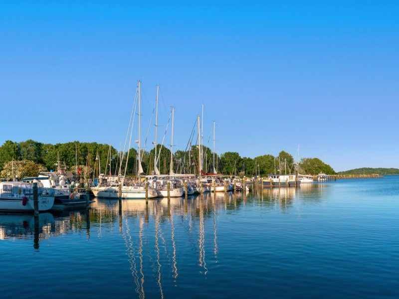 Rügen Ostsee Urlaub Ferienwohnung Hotels Kurtaxe Putbus Kurabgabe Gastgeber