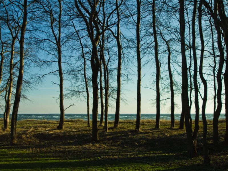 Rügen Ostsee lost Places verlassene Orte Wald Youtube Urlaub Video