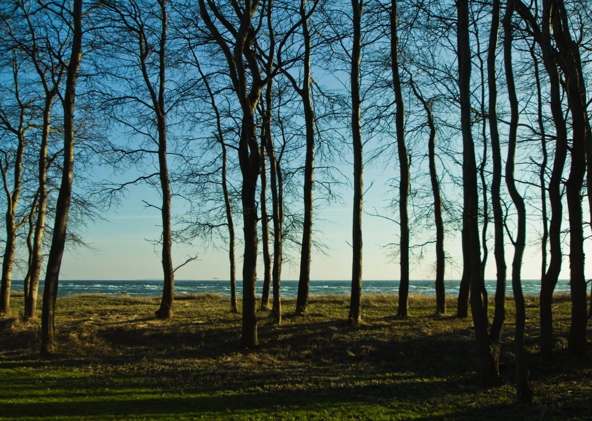 Rügen Ostsee lost Places verlassene Orte Wald Youtube Urlaub Video