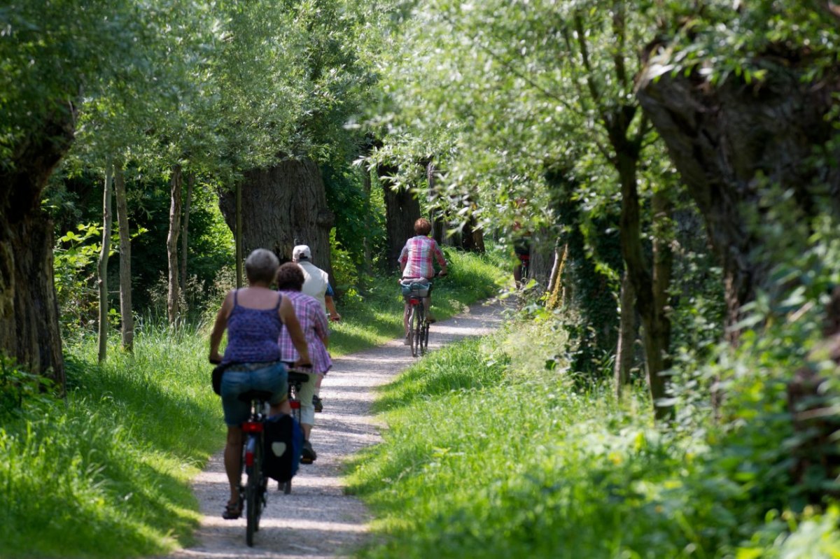 Rügen_Radfahrer.jpg