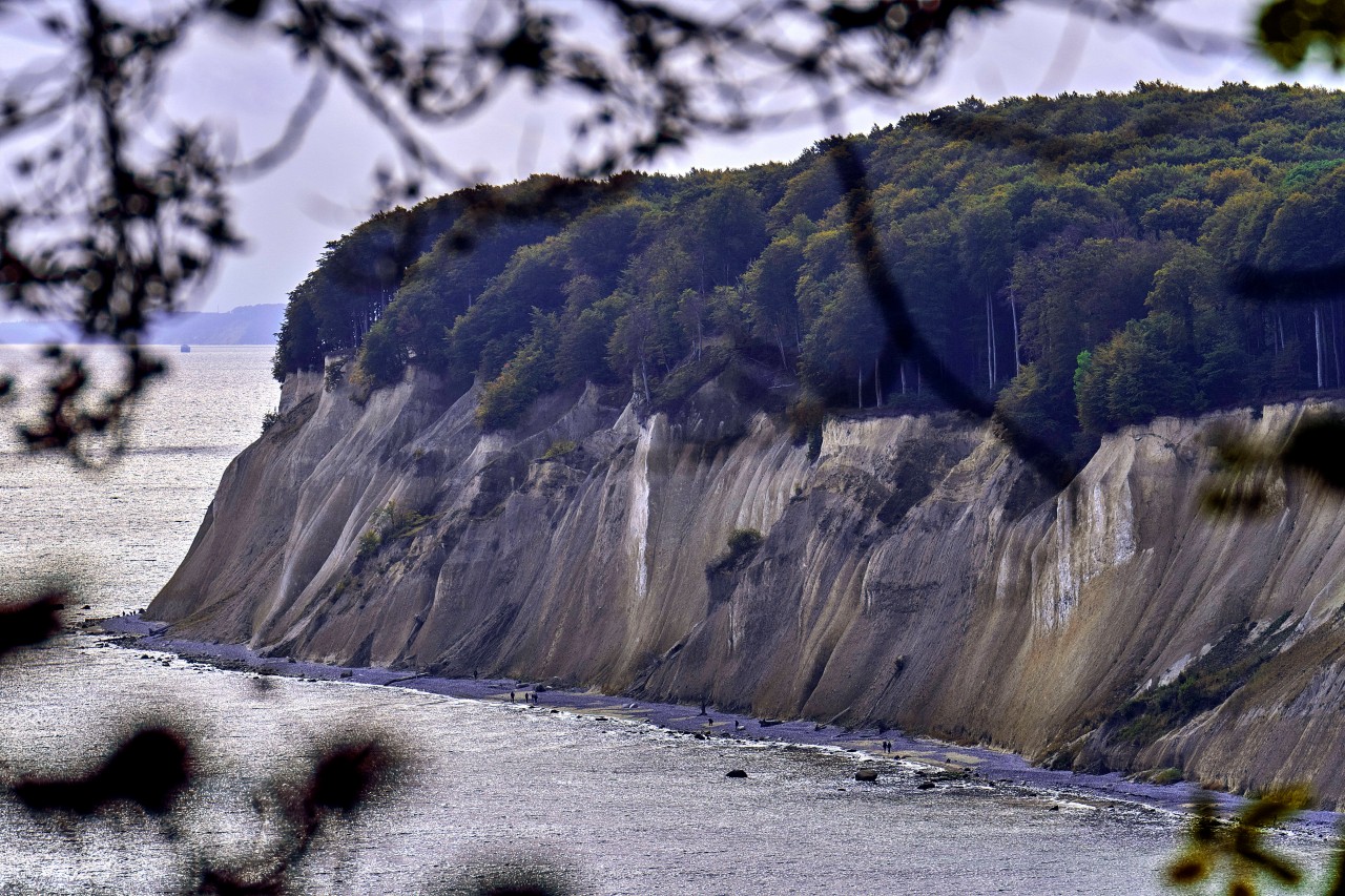 Rügen ist bekannt für seine Steilküsten. 