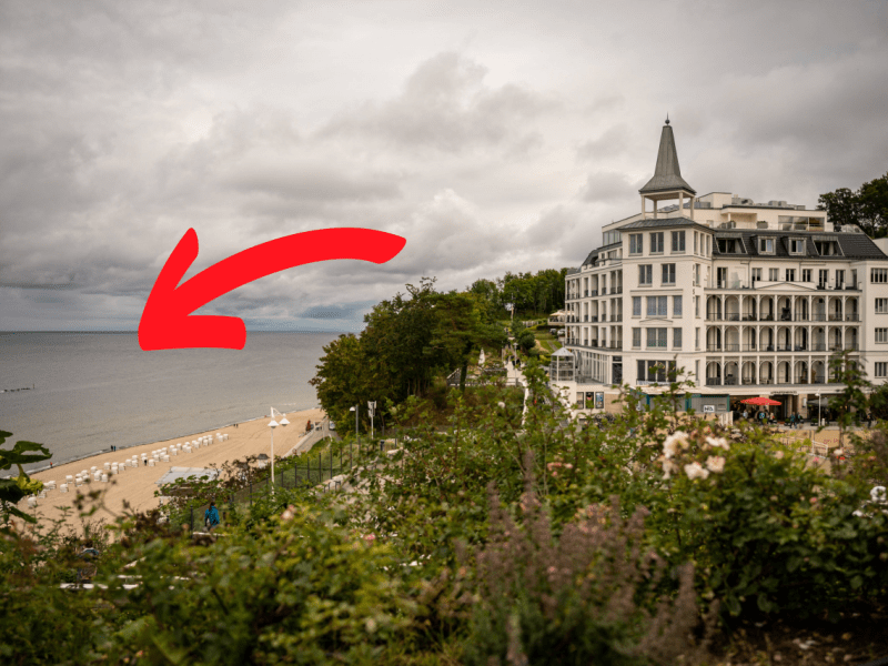 Rügen ostsee Urlaub Strand Fisch Insel Spaziergang Mecklenburg-Vorpommern Tobiasfisch Sandaal