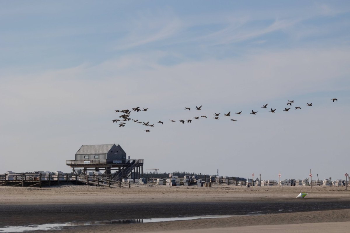 Sankt Peter-Ording.jpg