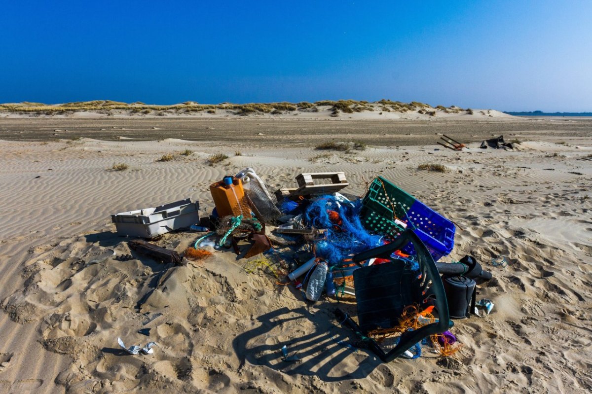 Sankt Peter-Ording Müll.jpg