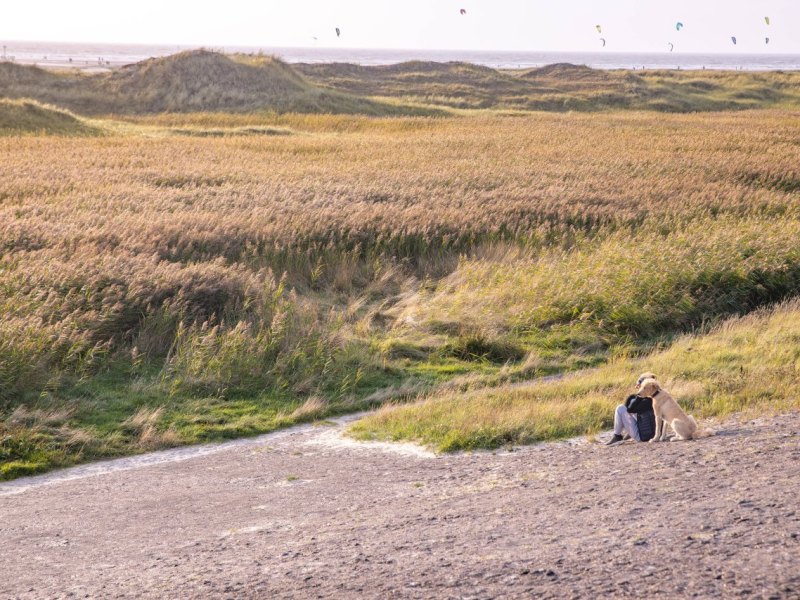 Sankt Peter-Ording Nationalpark Wattenmeer.jpg