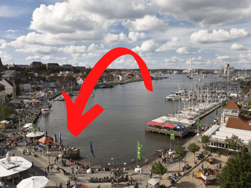 Schleswig-Holstein Flensburg Ostsee Industriehafen Algen Fische Fischesterben