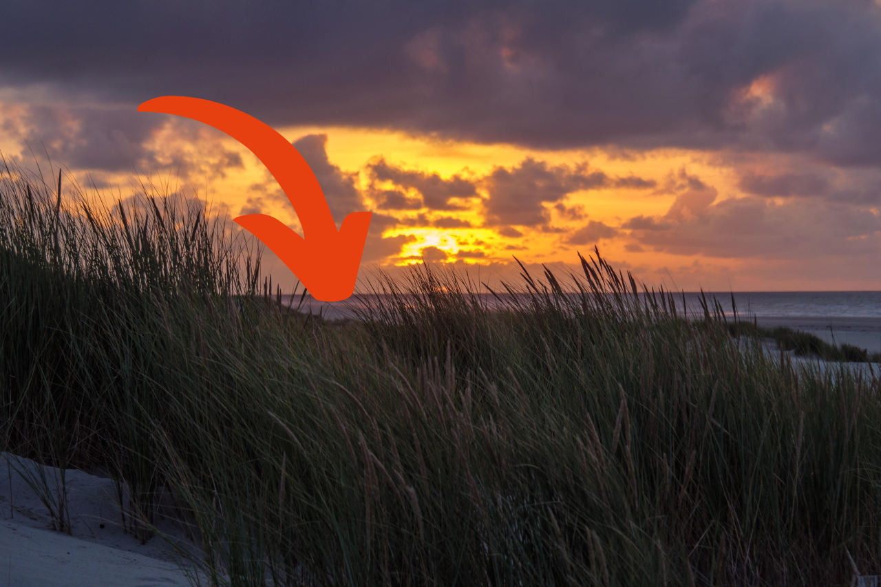 Bei diesem Anblick am Nordsee-Strand alarmierte ein Spaziergänger sofort die Polizei (Symbolbild).