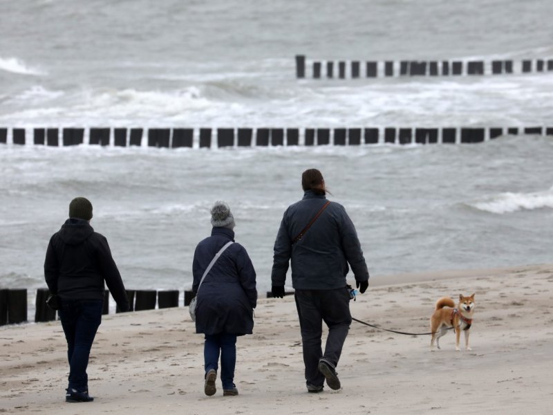Sylt.jpg