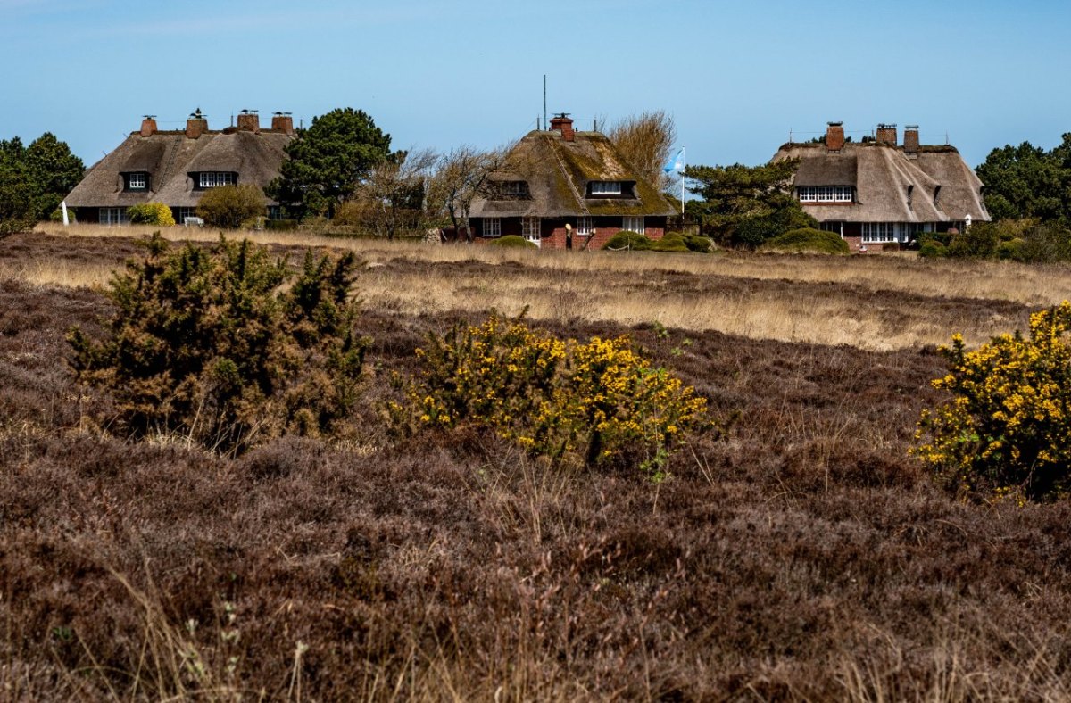 Sylt Deutschland teuerste Immobilien Insel Kampen Keitum Quadratmeter München Immowelt