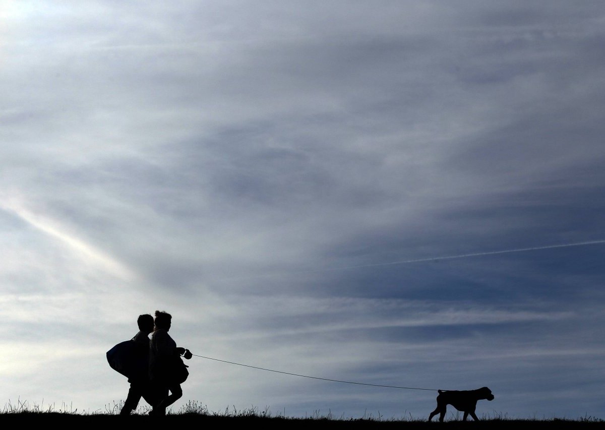 Sylt Hund Regeln.jpg