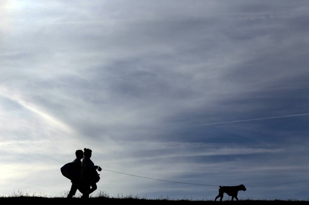 Sylt Hund Regeln.jpg