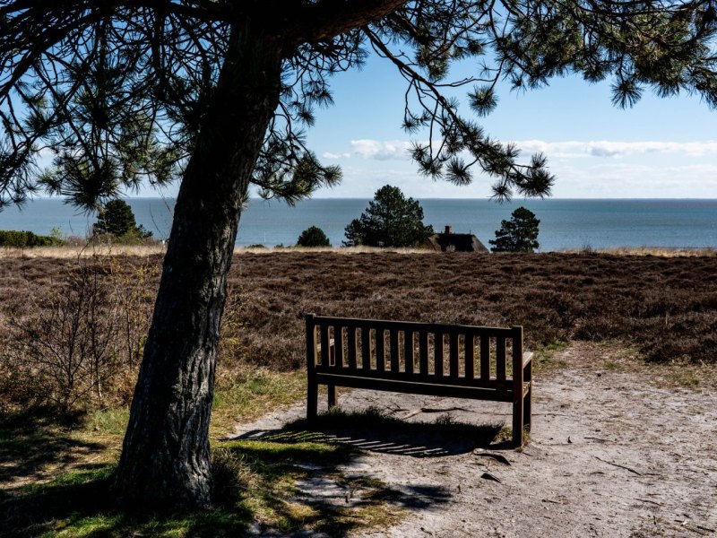 Sylt Kampen