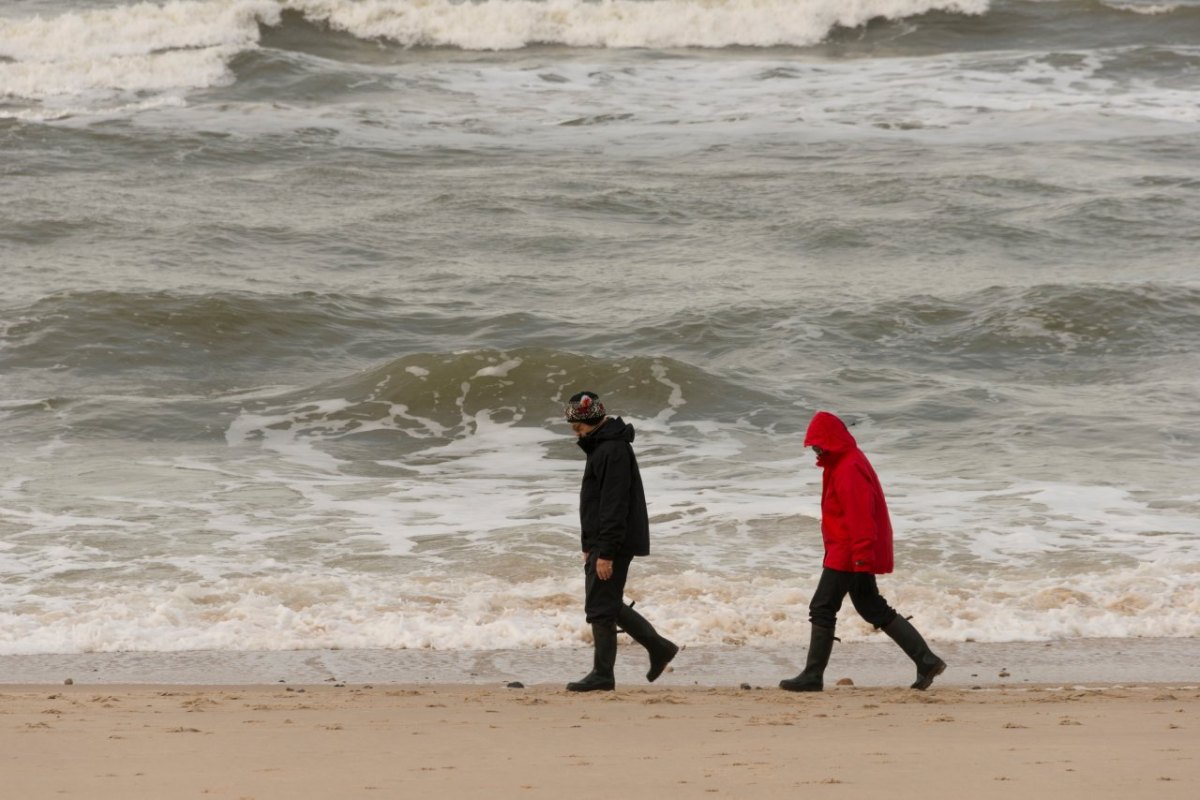 Sylt Kampen Insel Besucher.jpg