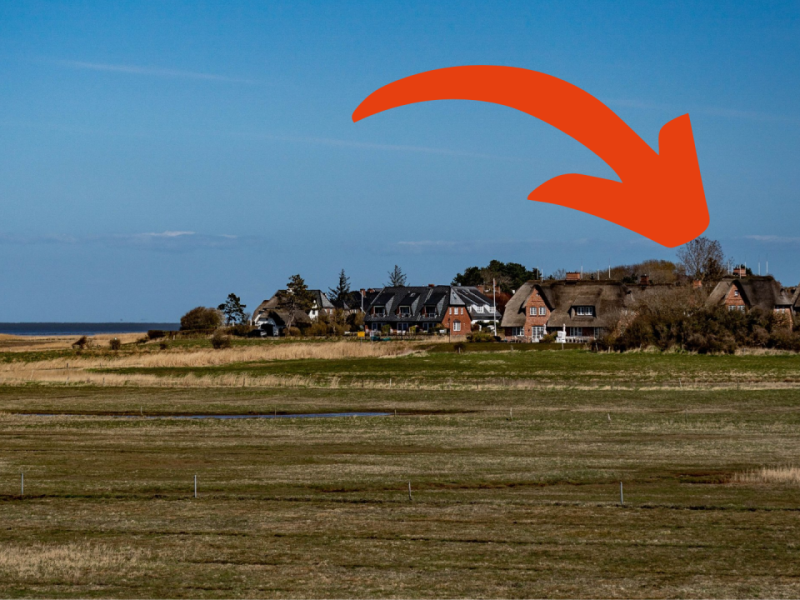 Sylt Keitum Blumen.png