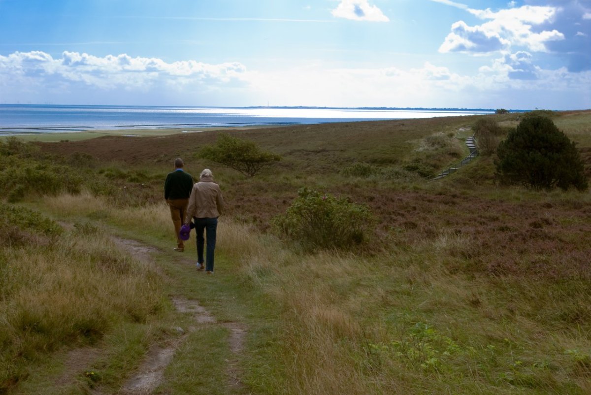 Sylt Nordsee.jpg