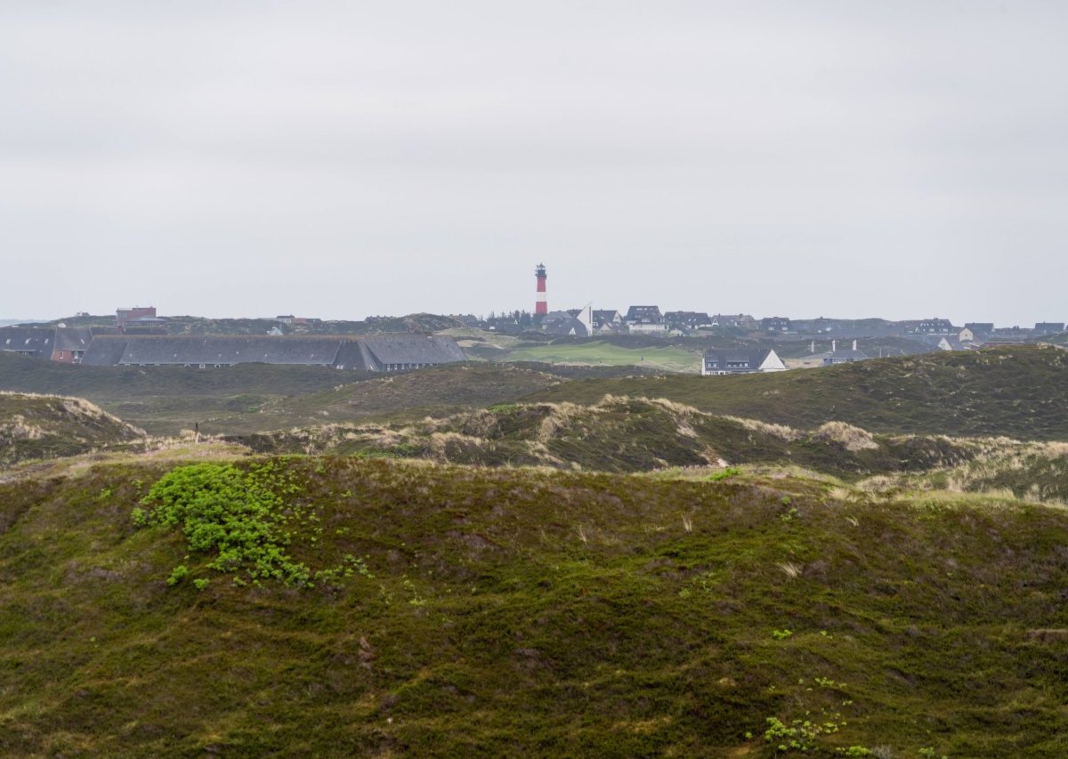 Sylt Nordsee Dünen.jpg