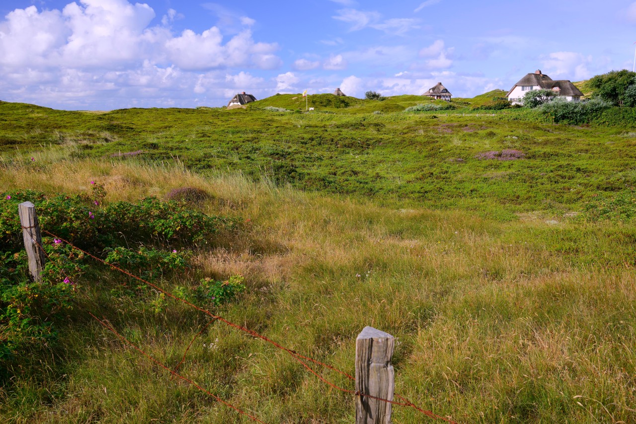 Auf Sylt stehen viele Reetdach-Häuser, doch eines sorgt nur für Kritik. 