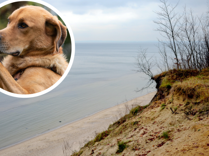 Usedom.png