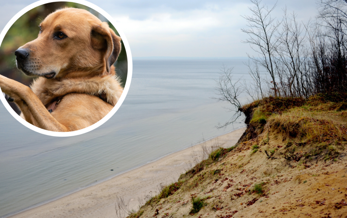 Usedom.png