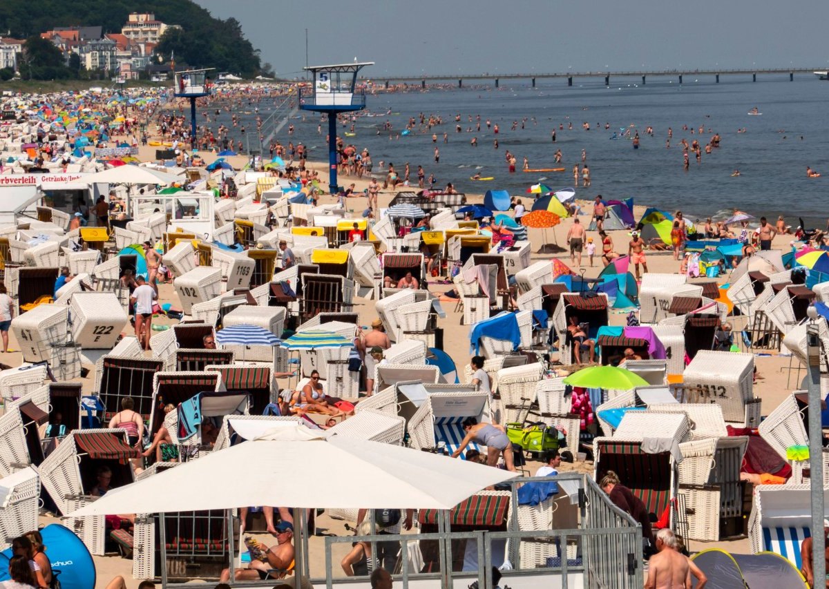 Usedom Kinder Eltern Strand Ostsee Urlaub Tiere Baden