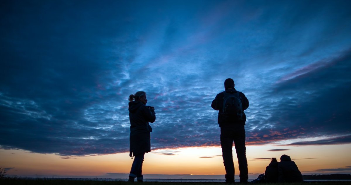 Usedom Ostsee Strand Fund Bernstein Phosphor Strand Urlaub