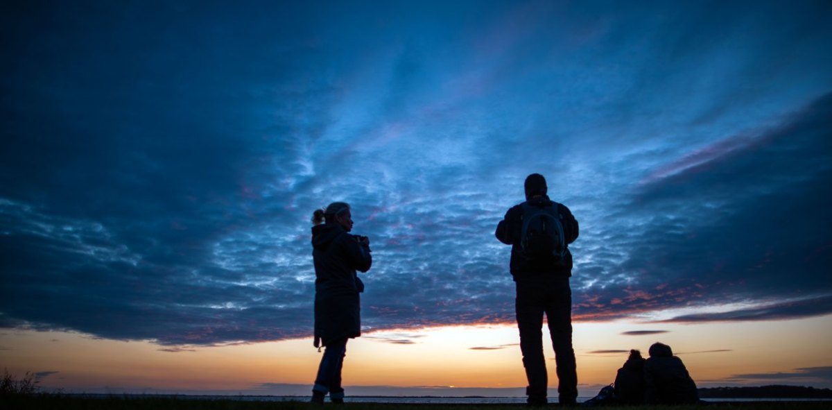 Usedom Ostsee Strand Fund Bernstein Phosphor Strand Urlaub