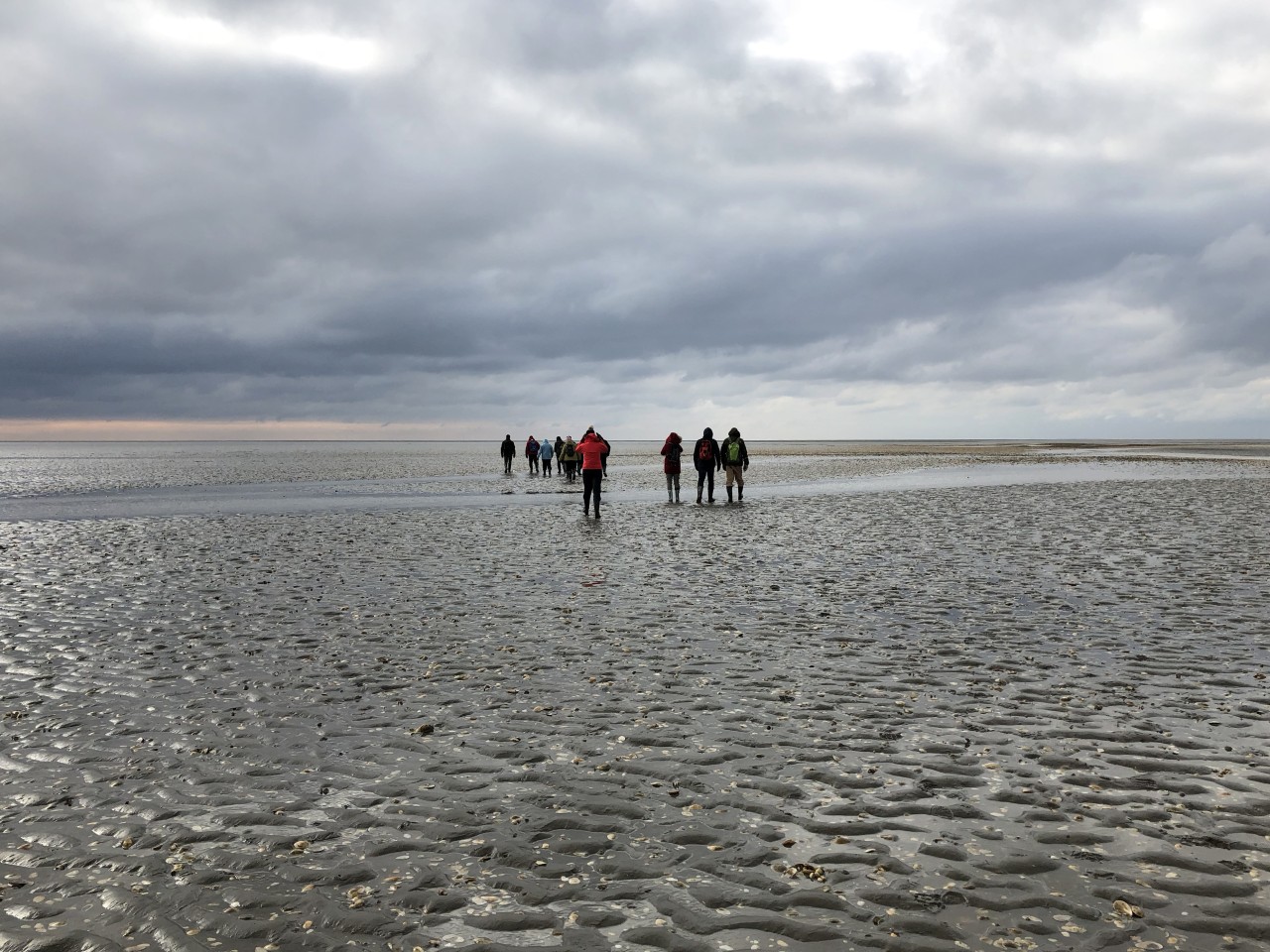 Eine Gruppe macht eine Wattwanderung in der Nordsee.