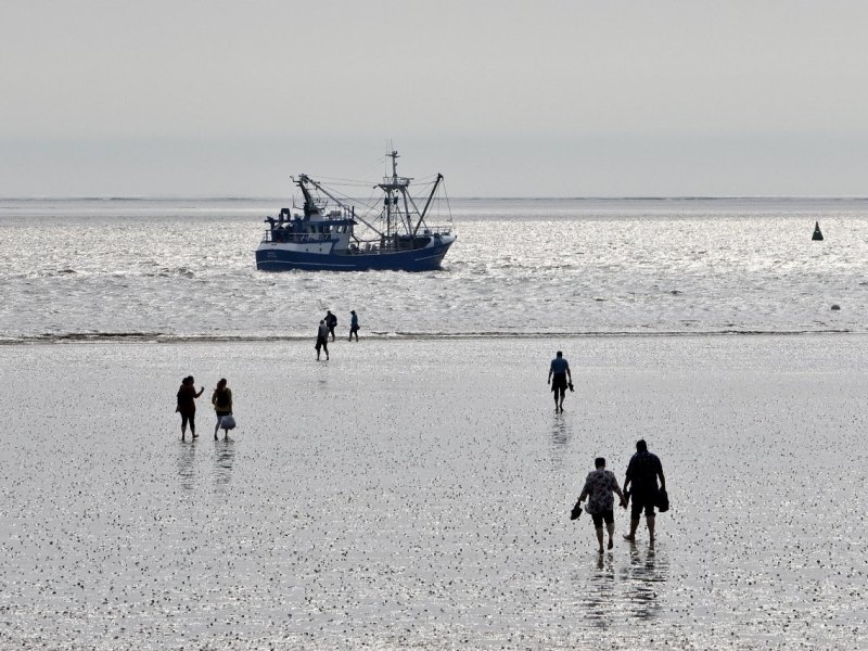Wattenmeer