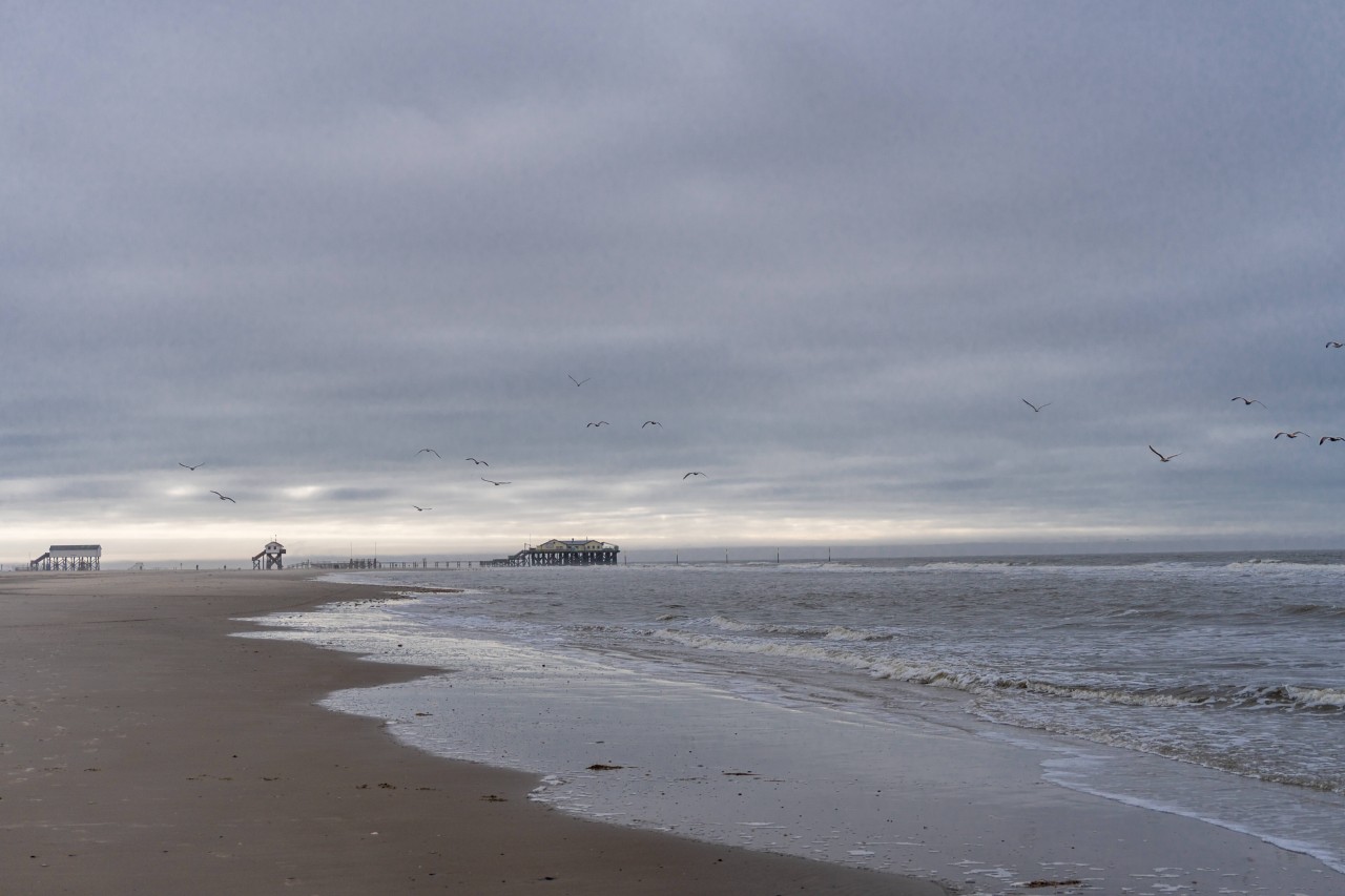 Die Nordsee bei St. Peter-Ording