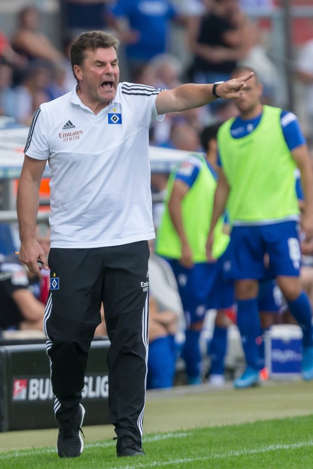 hamburger-sv.jpg