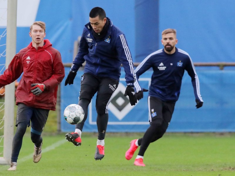 hamburger-sv.jpg