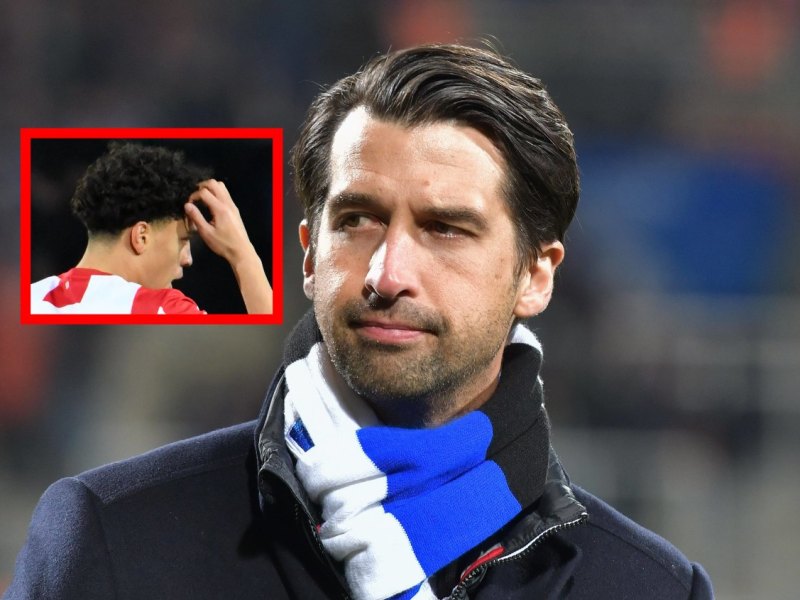 hamburger-sv-jonas-david.jpg