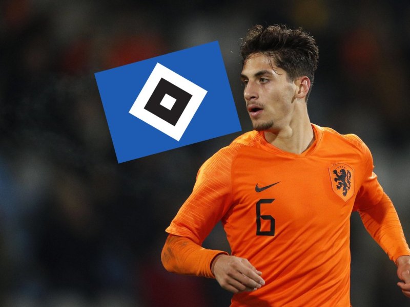 hamburger-sv-reis.jpg